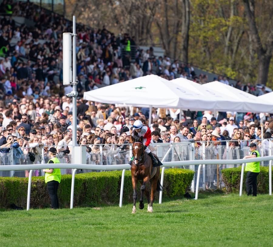 Otwarcie sezonu wyścigowego na Służewcu, fot. Instagram