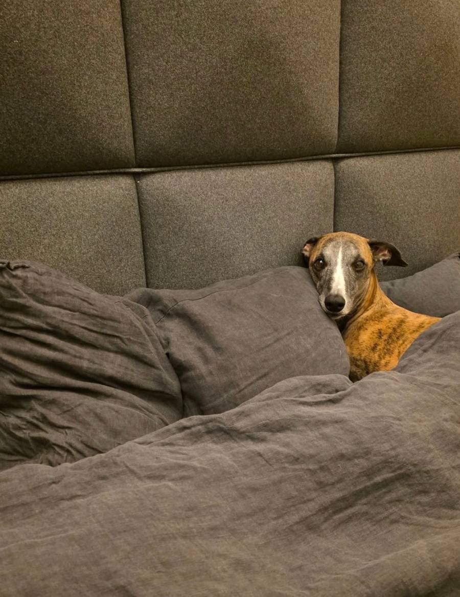 To tu mieszkał z Marią Prażuch. Dom Marcina Prokopa robi wrażenie