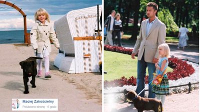 Pamiętacie psa Fado z filmu “Tylko mnie kochaj”? Psy, które go grały, zostały strasznie zaniedbane. Potrzebna im pomoc