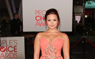 Logan Henderson – nowa miłość Demi Lovato?