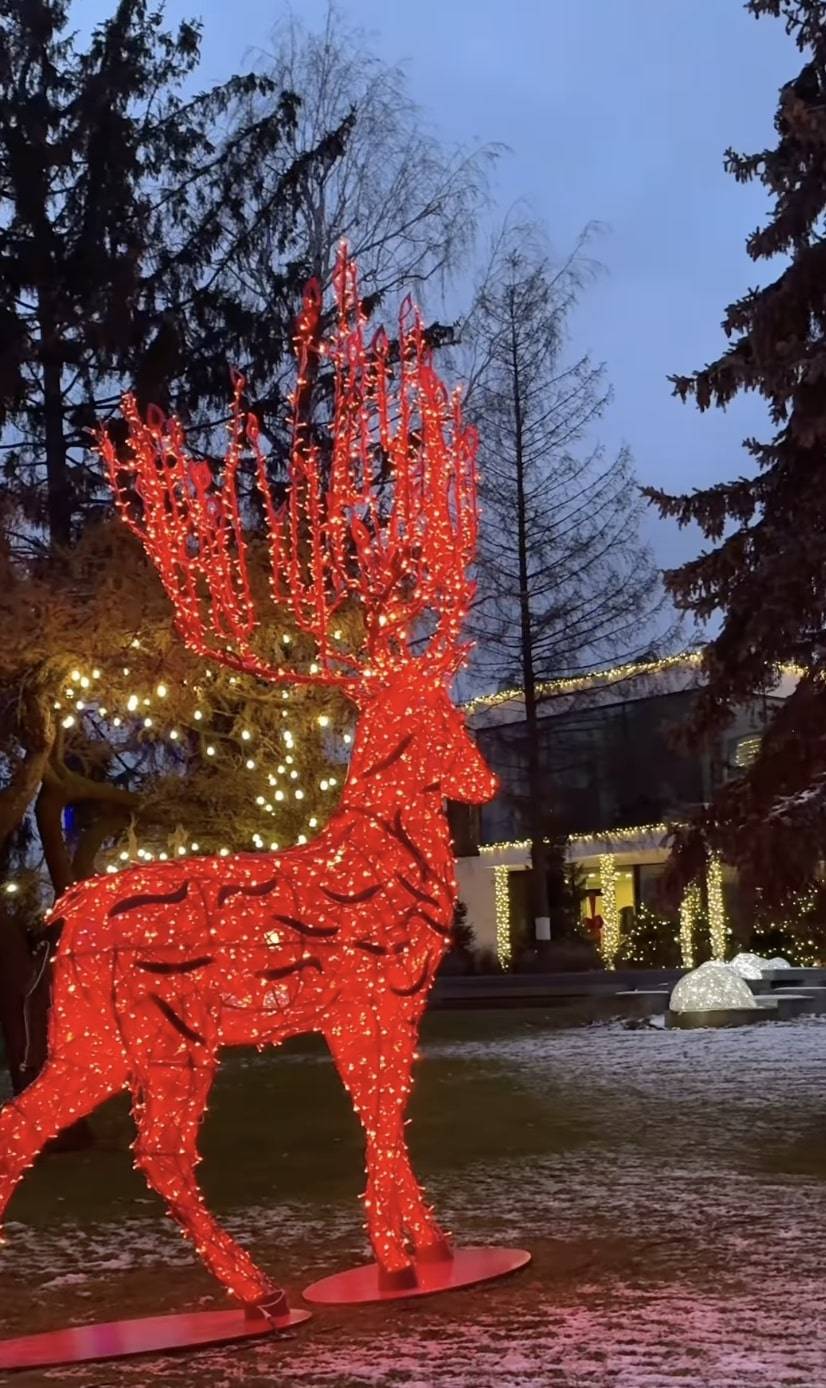 Klaudia Halejcio zmieniła swoją willę w wioskę ŚWIĘTEGO MIKOŁAJA! Drzewa oplecione lampkami, dziesiątki choinek i setki ozdób (FOTO)