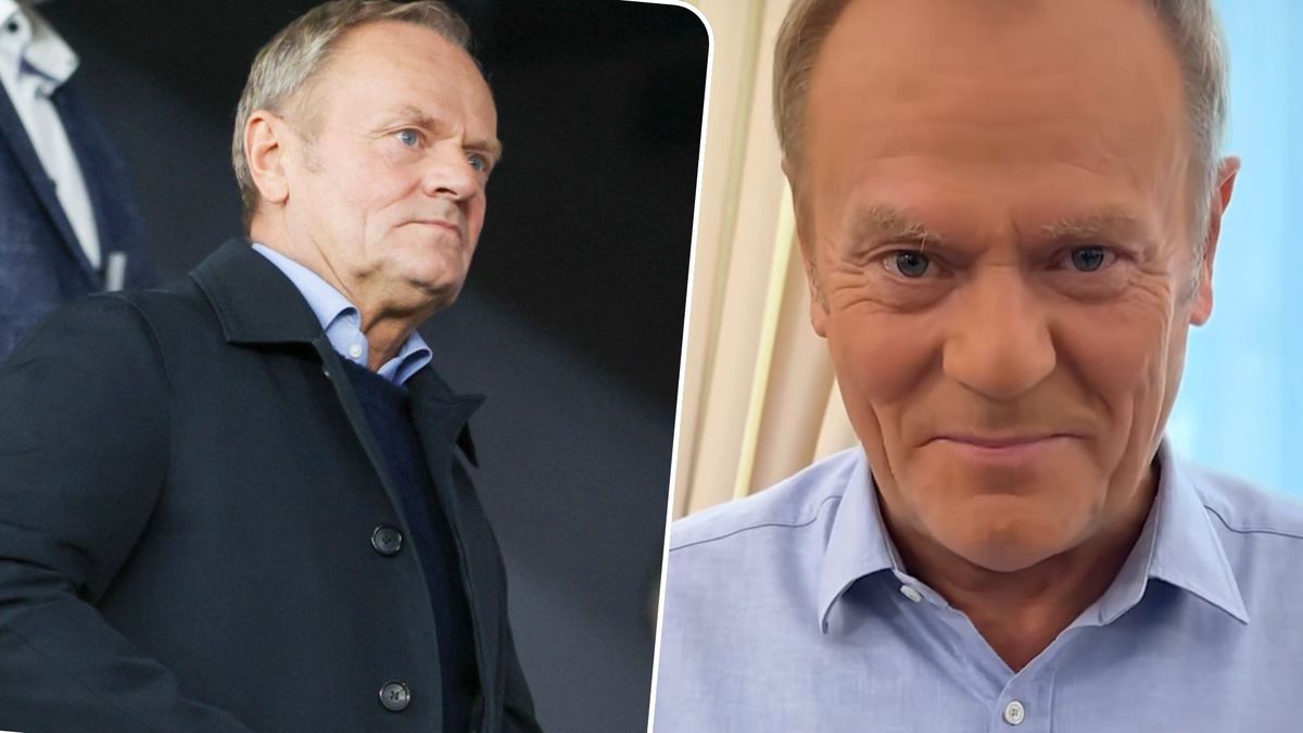 Donald Tusk świętuje zakaz hodowli futerkowych! Wykorzystał do tego AI