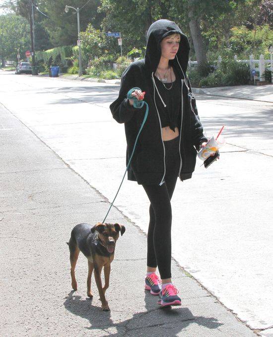 Miley Cyrus z psem na spacerze