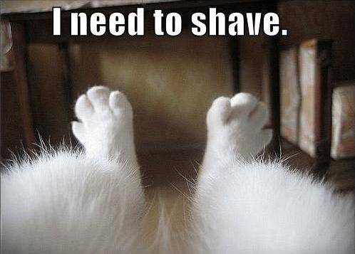 16 rzeczy, które czuje każda kobieta, gdy nadchodzi jesień