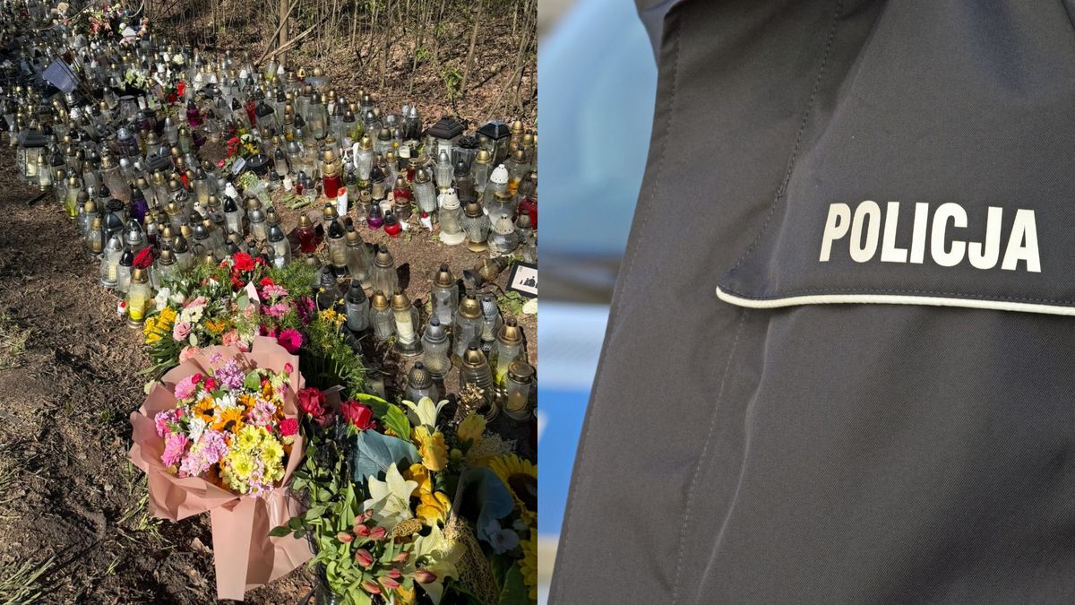 Policja zabezpieczyła telefon sprawcy wypadku, fot. Kozaczek Exclusive/Canva.com