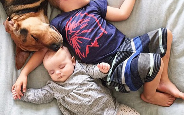 Theo i Beau – gwiazdy internetu mają siostrzyczkę (FOTO)