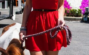 Maria Menounos na spacerze z… kucykiem (FOTO)