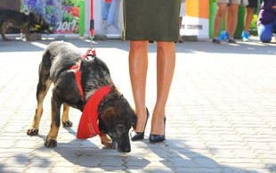 Joanna Opozda odpowiada swoim hejterom! Jej wypowiedź daje do myślenia