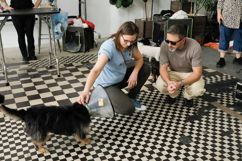 Gwiazdy pozują ze zwierzakami. Andrzej Piaseczny, Piotr Stramowski z ukochaną, Olga Borys…