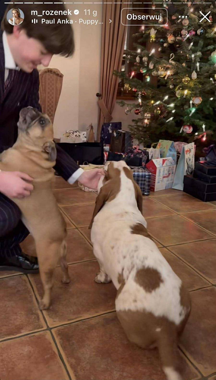 Małgorzata Rozenek-Majdan na Wigilii u rodziców. Mają dom z duszą