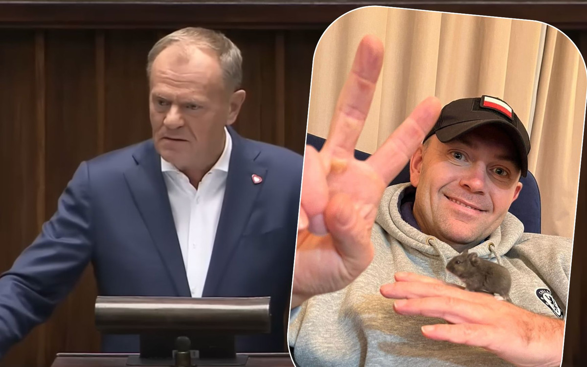 Donald Tusk ujawnia, czym zajmował się w przeszłości Karol Nawrocki! Agencje towarzyskie?!