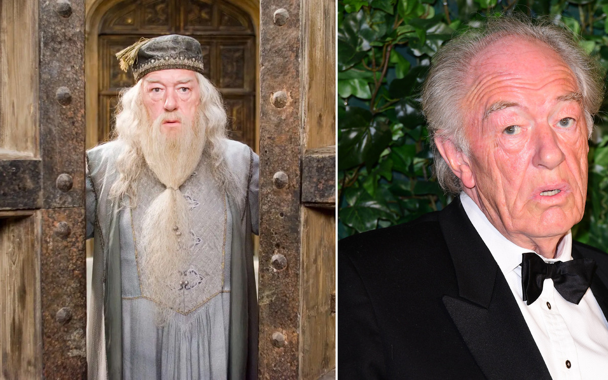 Aktor z “Harry’ego Pottera” pominął w testamencie matkę swoich synów! Im przekazał “ochłapy”