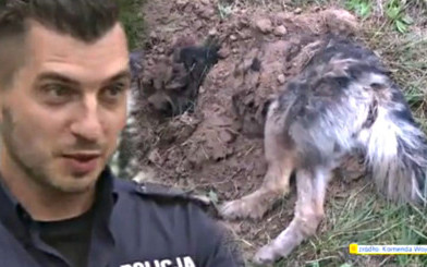 Bary – pies zakopany żywcem – znajdzie dom u policjanta?