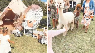 Natalia Siwiec postarała się. Na URODZINACH jej córki były nawet ALPAKI