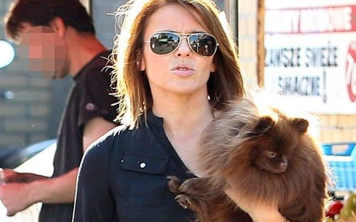 Edyta Herbuś z pieskiem na zakupach (FOTO)