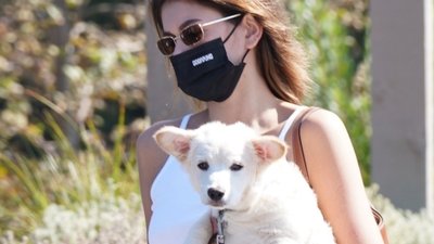 Zakochani Kaia Gerber i Austin Butler na spacerze ze swoim kundelkiem