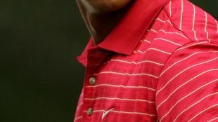 Tiger Woods ma nową dziewczynę (FOTO)