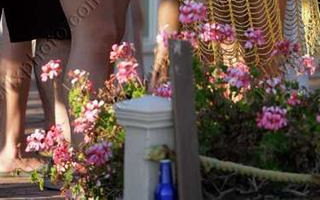 Alli chce wyjść z cienia Britney