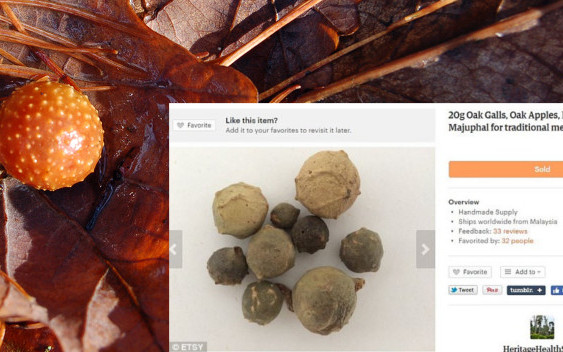 Ginekolodzy OSTRZEGAJĄ przed TĄ MODĄ – kobiety wkładają sobie do pochwy…