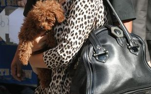 Rihanna po raz kolejny zapewnia