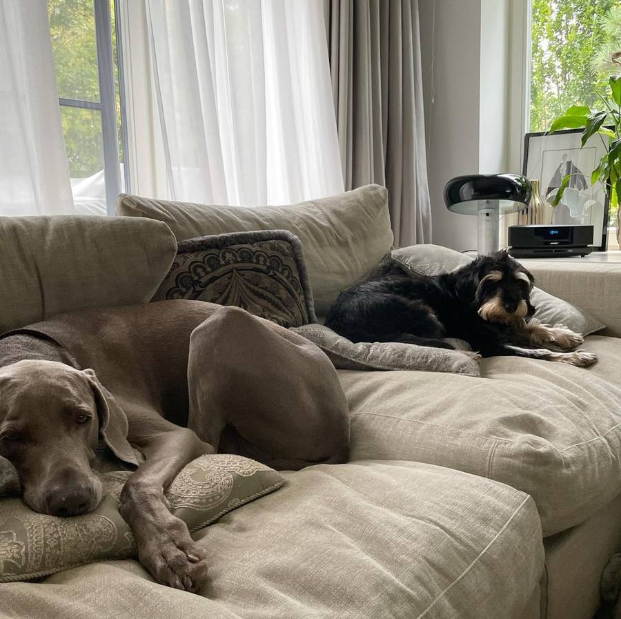 Tak mieszka Małgorzata Kożuchowska – kolorowe tapety, klasyka i elegancja oraz oryginalne detale (ZDJĘCIA)