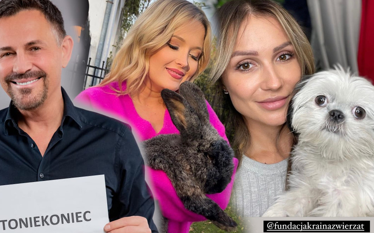 Zwierzęta poszkodowane przez budowę CPK. Gwiazdy pomogły porzuconym zwierzakom!