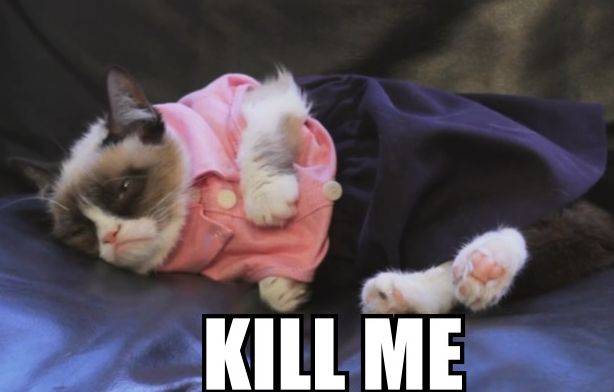 Grumpy Cat – śmieszne obrazki