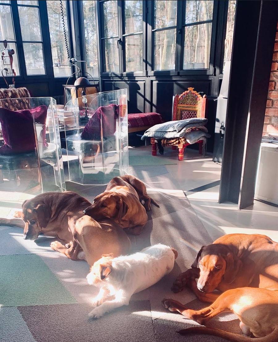 Tak mieszka Agnieszka Woźniak-Starak, fot. Instagram