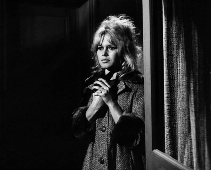 Brigitte Bardot/Forum