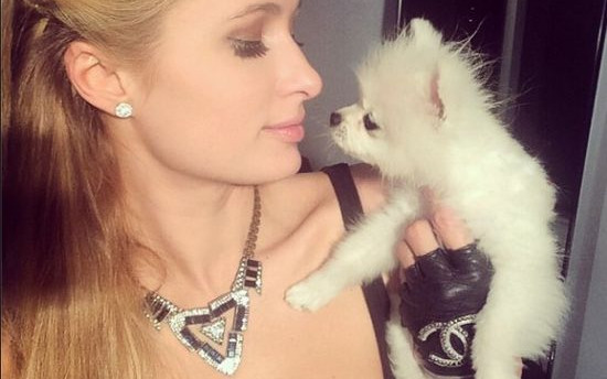 Paris Hilton na instagramie