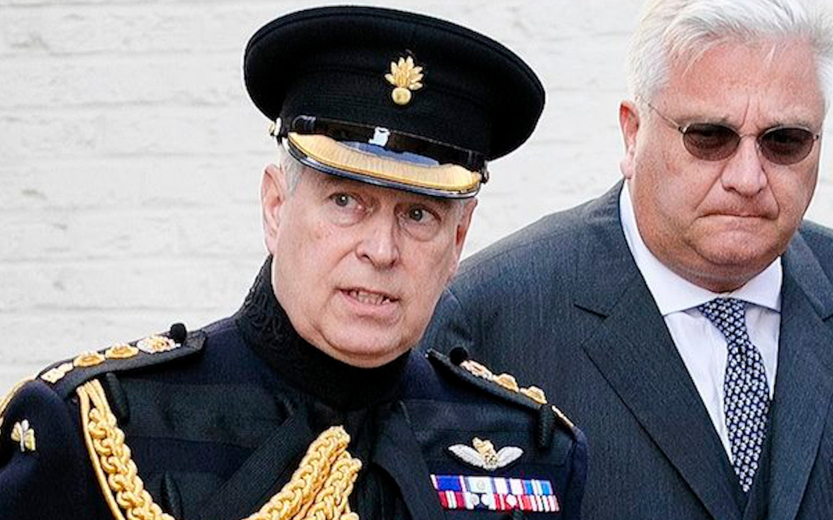 Całodniowe szkolenie, jak układać kolekcję 72 pluszowych MISIÓW księcia Andrzeja