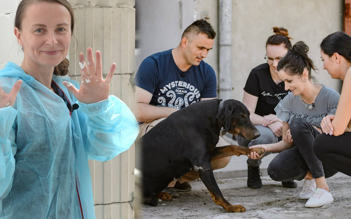 Kandydatki “Rolnik szuka żony 6” zasmakowały prawdziwego, wiejskiego życia. Kogo odstraszył klimat i zapachy na wsi?