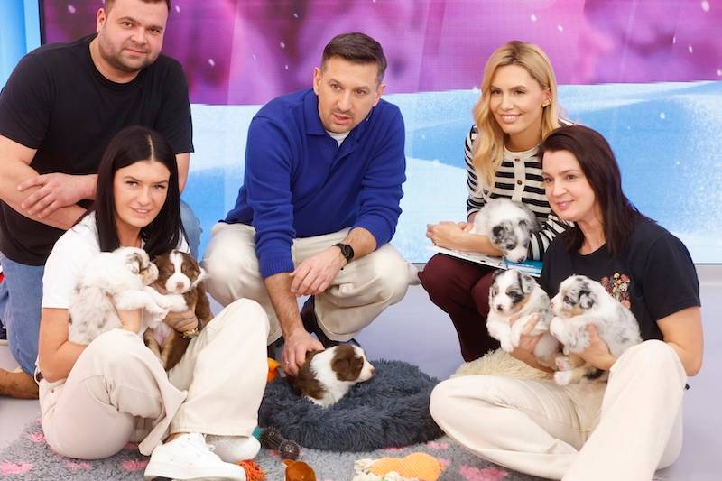 Halo tu Polsat. Kasia Moś promienieje w ciąży,  Agnieszka Hyży w kolorze roku, nowa uczestniczka “TzG”