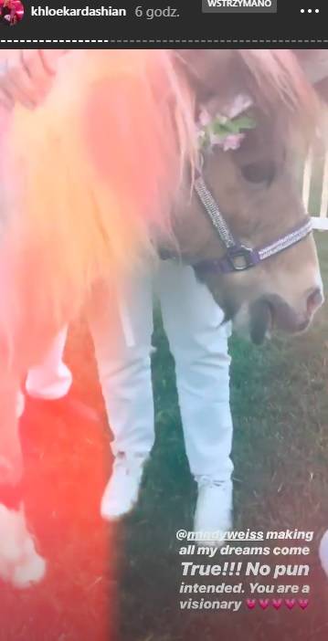 Bajkowe urodzinki córki Khloe Kardashian – True