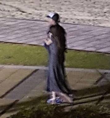 W końcu! Jest zdjęcie obejmujących się Dakoty Johnson i Chrisa Martina