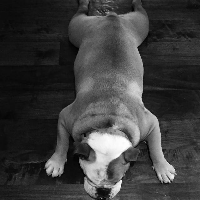 Instagram Davida Beckhama – pozytywnie nakręcony