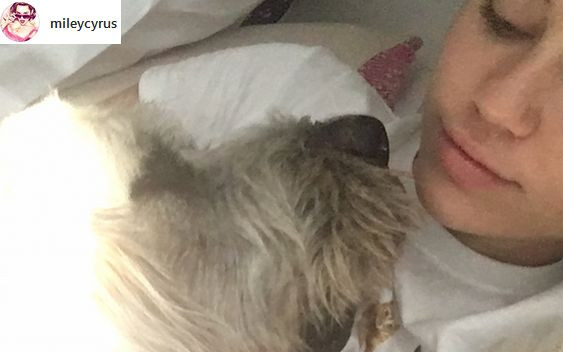 Słodka wiadomość od Miley do ukochanego