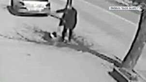 Skopał ciężarną kotkę, grozi mu do 3 lat