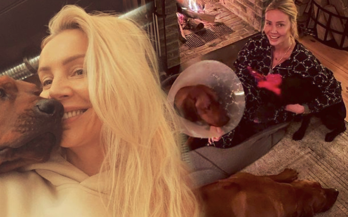 Patrzcie, jak Agnieszka Woźniak-Starak wyprowadza swoje psy. Takiego sposobu nie widzieliśmy