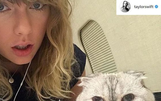 Zastanawiałeś się, dlaczego Taylor Swift ma teraz taką, a nie inną fryzurę?