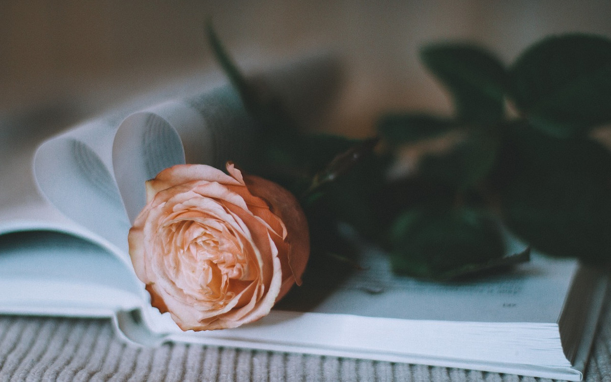 5 Najlepszych pomysłów na erotyczny prezent dla kobiety