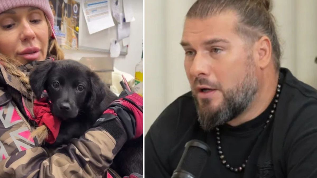 Piotr Adamski, fot. Kozaczek