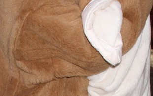 Nori West ma już swoje miniaturowe Lamborghini (FOTO)