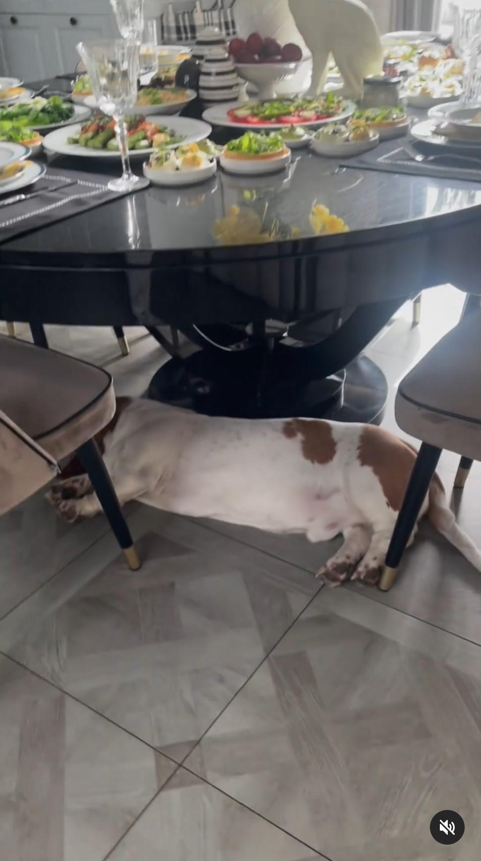 Rodzina Majdanów w ogniu krytyki. Poszło o świąteczny filmik