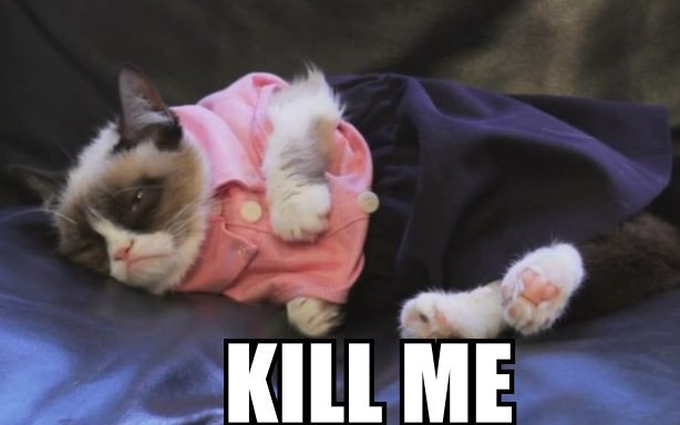 Grumpy Cat – śmieszne obrazki