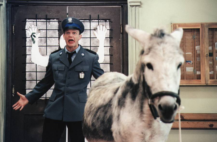 Cezary Pazura, fot. AKPA