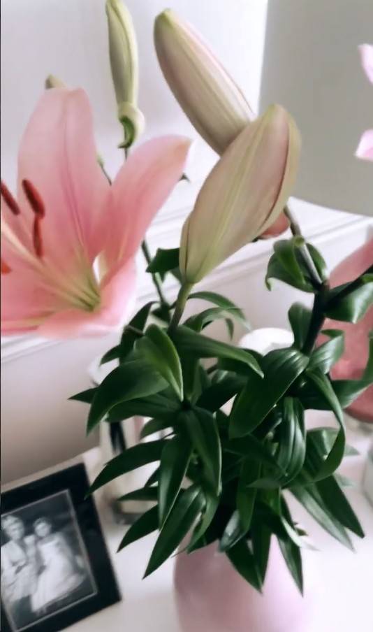 Tak mieszka Kasia Cerekwicka