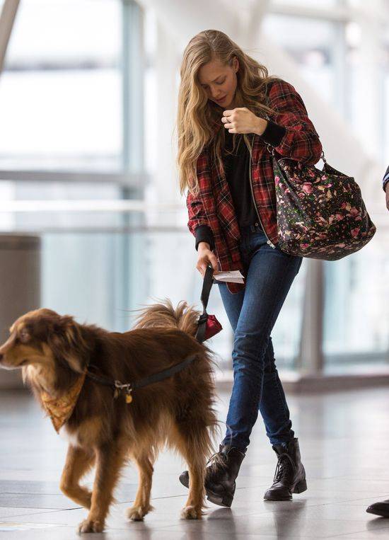 Amanda Seyfried -styl