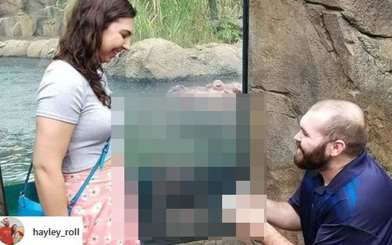 To zdjęcie z zaręczyn obiegło CAŁY ŚWIAT!