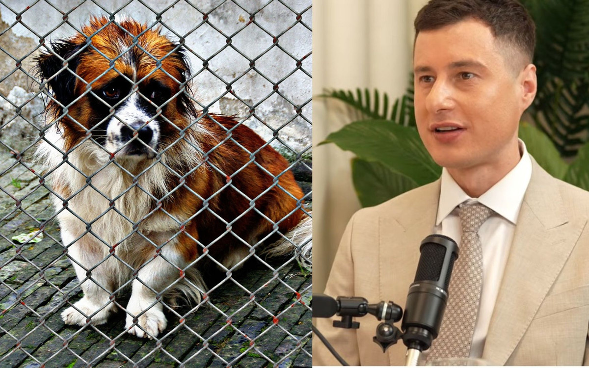 Tylko u nas! Tak finansowane są patoschroniska. Konrad z DIOZ ujawnia horrendalne kwoty